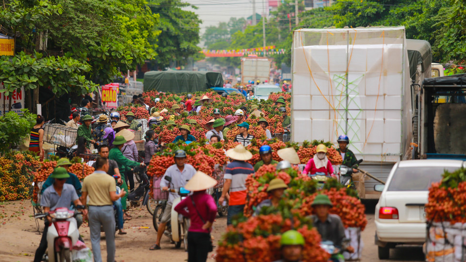 Thế nhưng, lượng phương tiện vận chuyển vải đi các tỉnh đã vượt quá khả năng của quốc lộ 31. (Ảnh: Minh Sơn/Vietnam+)