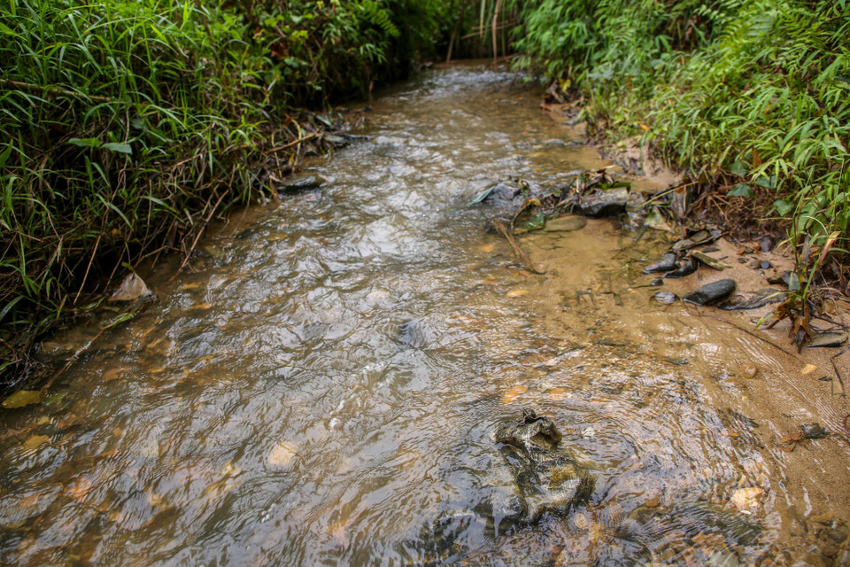 Đáng lo ngại nhất đây là nguồn nước cung cấp cho hồ Đồng Bài cũng là nơi dẫn nước thẳng nhà máy nước sạch Sông Đà. (Ảnh: PV/Vietnam+)