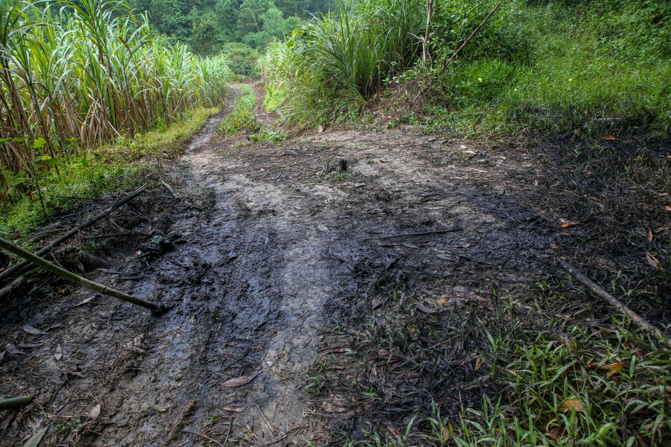 Dấu vết còn lại là những lớp dầu bám chặt trên mặt đường, cỏ cây. (Ảnh: PV/Vietnam+)