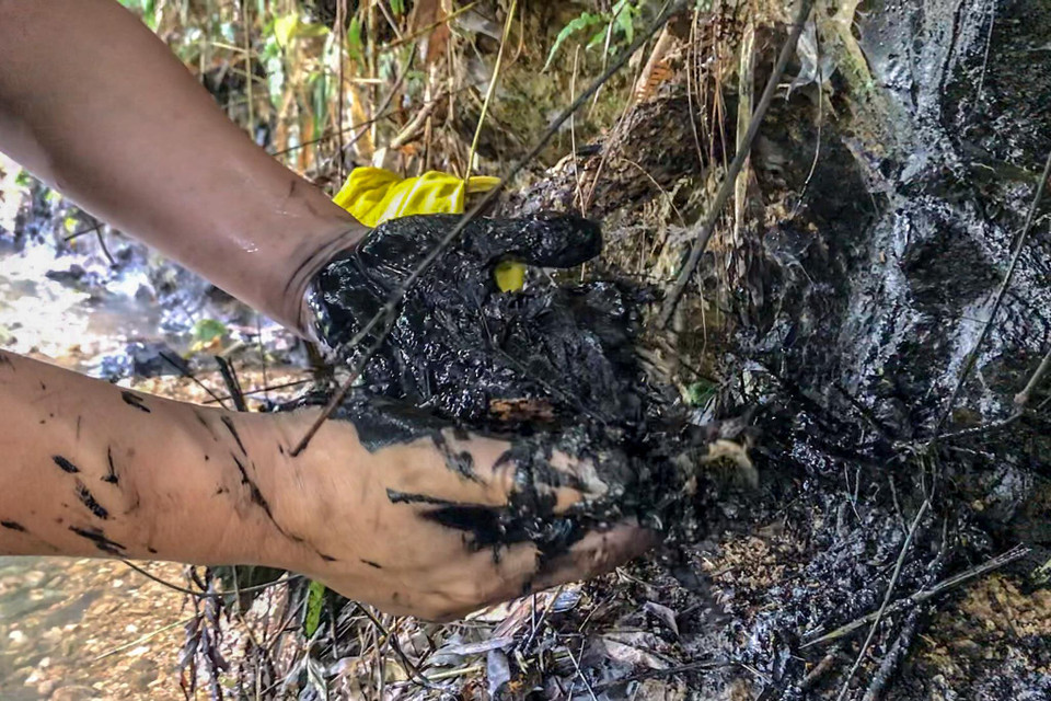 Càng đi ngược về phía đầu nguồn, bùn cặn càng đóng dày hơn. Có khu vực lớp bùn này dày tới 20cm. (Ảnh: PV/Vietnam+)