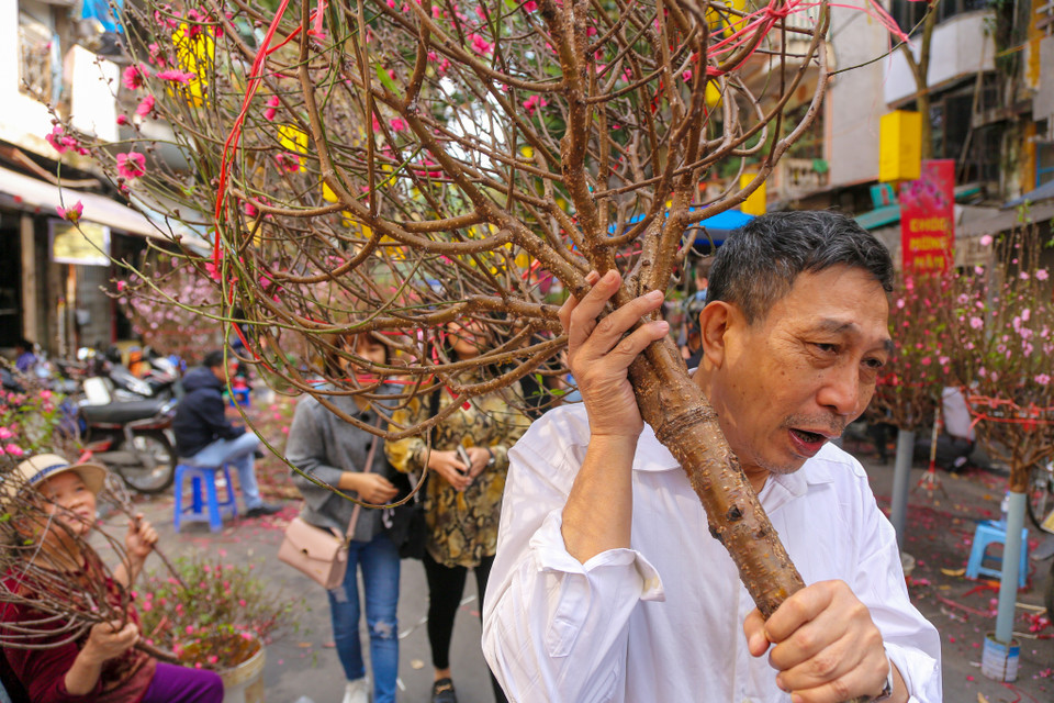 Người thì tìm được cành đào ưng ý vội vàng mang về cho những ngày cuối năm bận rộn. (Ảnh: Minh Sơn/Vietnam+)