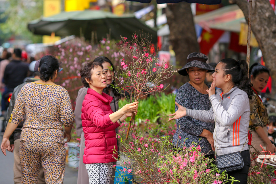 Trong những ngày giáp Tết người ta tới đây tranh thủ tìm lại hương vị Tết xưa. Hoặc đôi khi vốn chỉ để hòa mình vào không khí du xuân, tìm mua cho mình những lại hoa ưng ý. (Ảnh: Minh Sơn/Vietnam+)