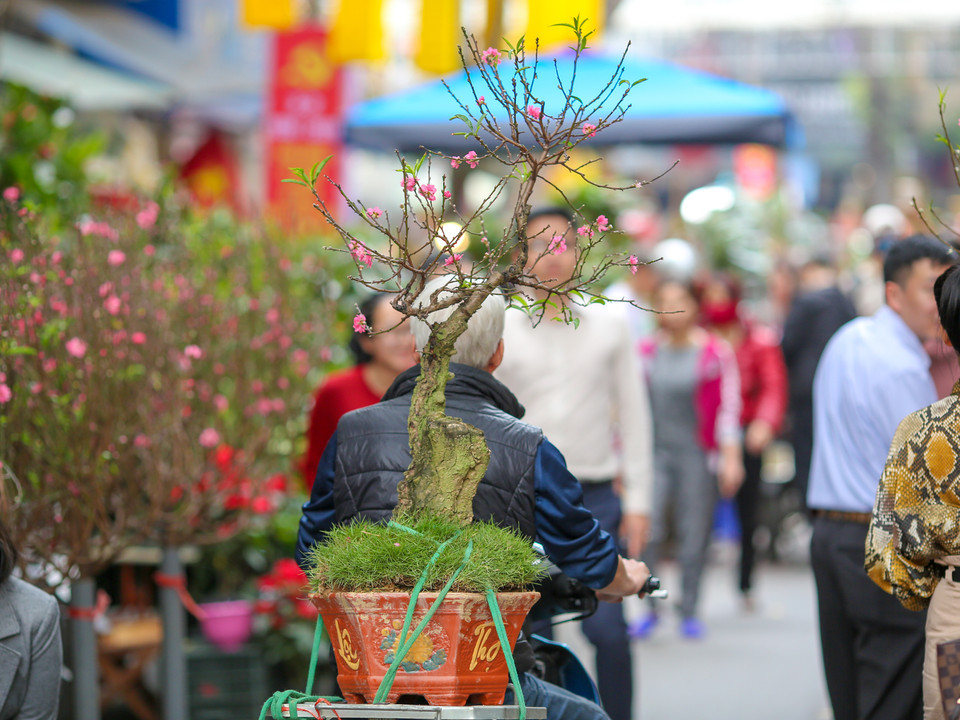 Chợ hoa truyền thống chỉ họp một lần trong năm, bắt đầu từ sau rằm tháng Chạp đến 30 Tết. Chợ họp ngay trên lòng đường giữa trung tâm phố cổ sầm uất, náo nhiệt. (Ảnh: Minh Sơn/Vietnam+)