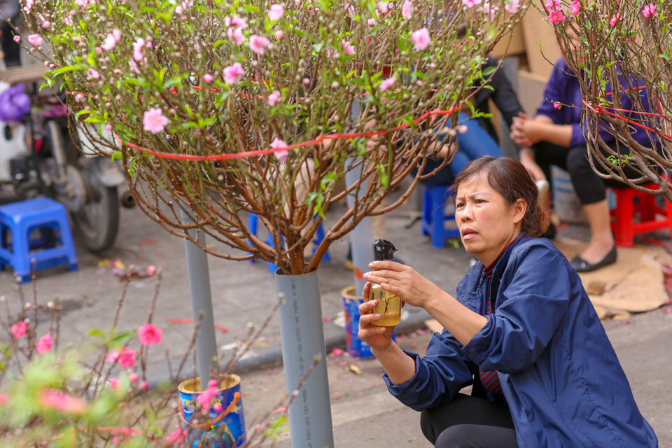 Theo nhiều tiểu thương ở đây, chợ hoa Hàng Lược luôn tấp lập người từ sáng đến tối nhưng chủ yếu là chụp ảnh, ngắm hoa, còn mua bán rất ít. (Ảnh: Minh Sơn/Vietnam+)