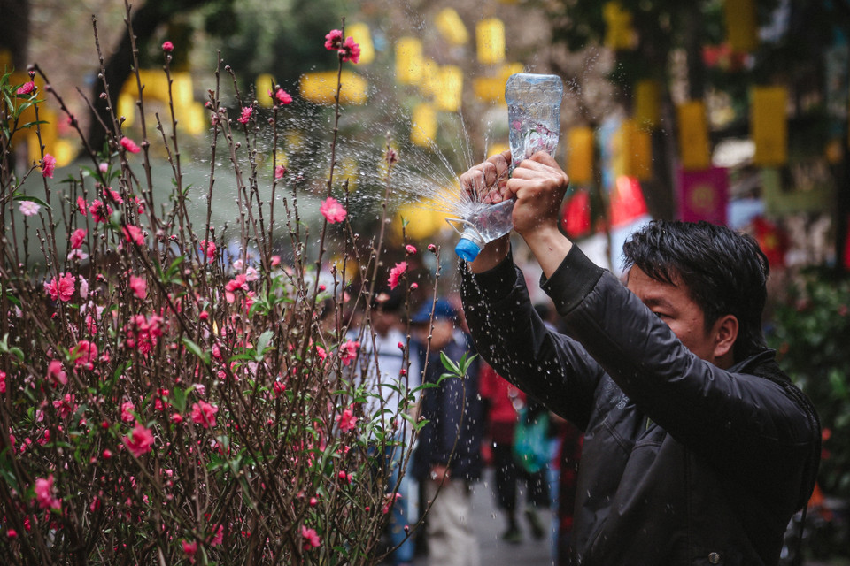 Nhiều tiểu thương tỏ ra ngao ngán vì không có nhiều khách mua. (Ảnh: Minh Sơn/Vietnam+)