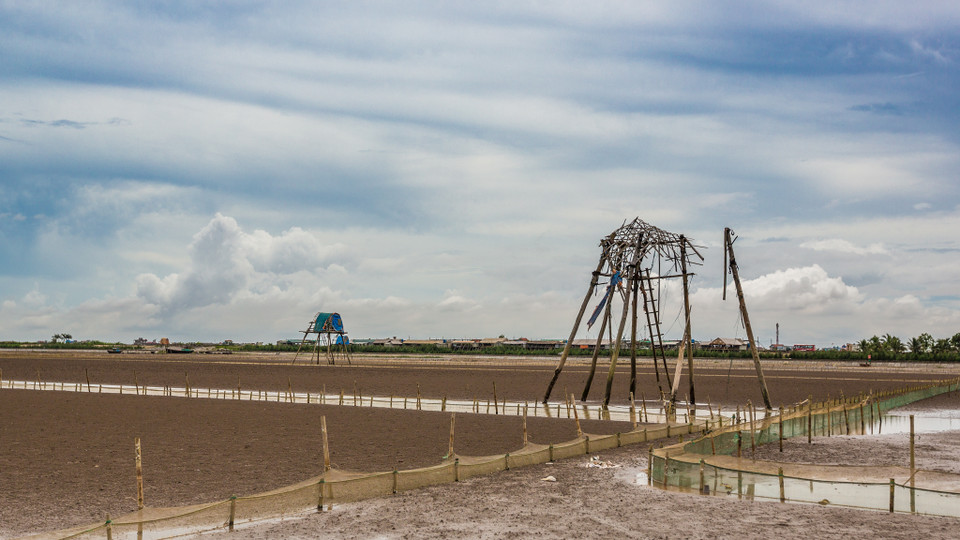 Chòi là các chòi canh như túp lều dựng trên cà kheo, tạo nên cảnh tượng vừa độc đáo vừa bình dị nơi biển trời Đồng Châu, Thái Bình. (Ảnh: Minh Sơn/Vietnam+)