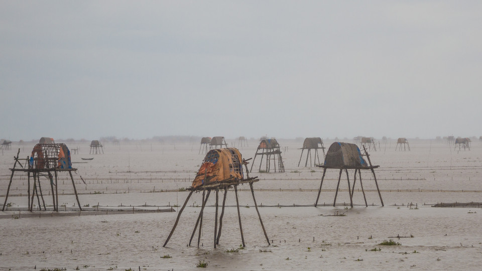 Đồng Ngao ở Đồng Châu còn được gọi là đồng Vạng. Trên những đồng ngao này có vô vàn chòi canh cắm chân dưới cát biển. Những chòi canh đơn sơ gồng mình trong những cơn bão phảng phất nét lam lũ, chịu thương chịu khó của người dân vùng biển. (Ảnh: Minh Sơn/Vietnam+)