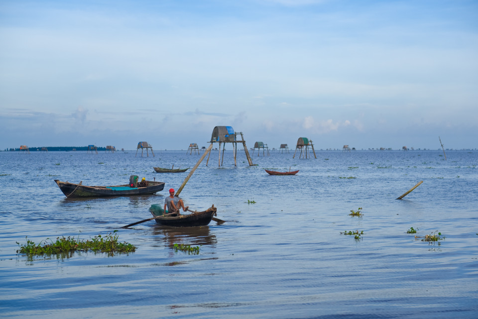 Ở Đồng Châu có những cánh đồng không xanh rì màu lúa mà nằm sâm sấp dưới nước biển. Thấp thoáng trên mặt nước lấp lánh là những bóng hình người dân đạp thuyền ra chòi ngao. (Ảnh: Minh Sơn/Vietnam+)
