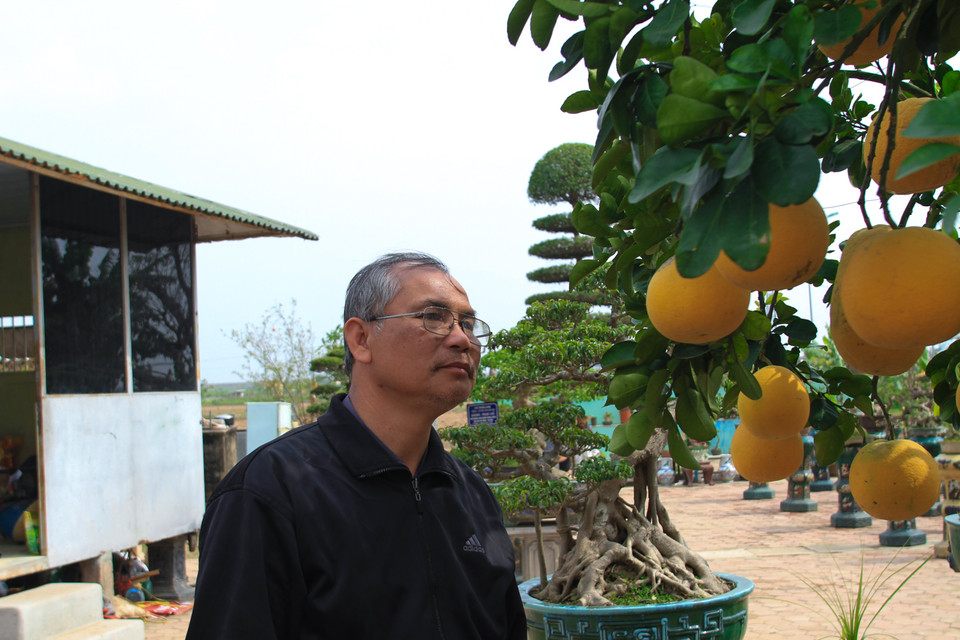 Ông Nguyễn Gia Hiền, Phó chủ tịch Hội cây cảnh nghệ thuật Hà Nội cũng đến để chiêm ngưỡng cây bưởi có một không hai này. Ông chia sẻ: “Chậu cây hội tụ để các yếu tố về thẩm mỹ cũng như nghệ thuật. Với những nét đẹp tự nhiên về số lượng quả, hay đủ hoa và lộc, rễ lâu năm, có thể nói đây là cây cực kì quý hiếm trên thị trường”. (Ảnh: Minh Sơn/Vietnam+)