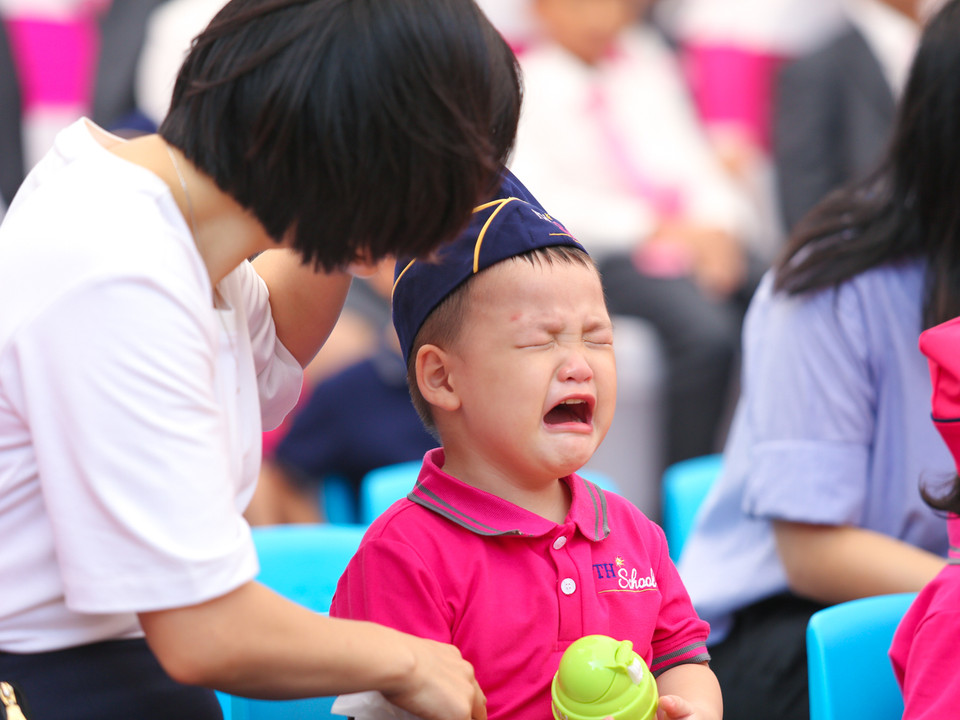 (Ảnh: Minh Sơn/Vietnam+)