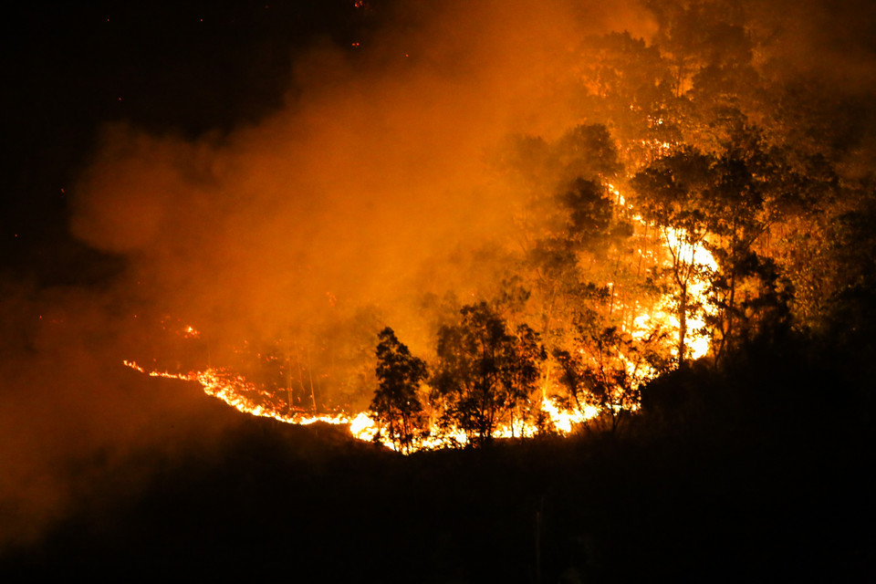 Đám cháy được xác định bắt đầu bùng phát lúc 13 giờ ngày 5/6 tại Huyện Sóc Sơn, Hà Nội. Sau đó đám cháy lan sang diện tích rừng thuộc khu vực giáp ranh với 3 xã Bắc Sơn, Nam Sơn và Phù Linh. (Ảnh: PV/Vietnam+)