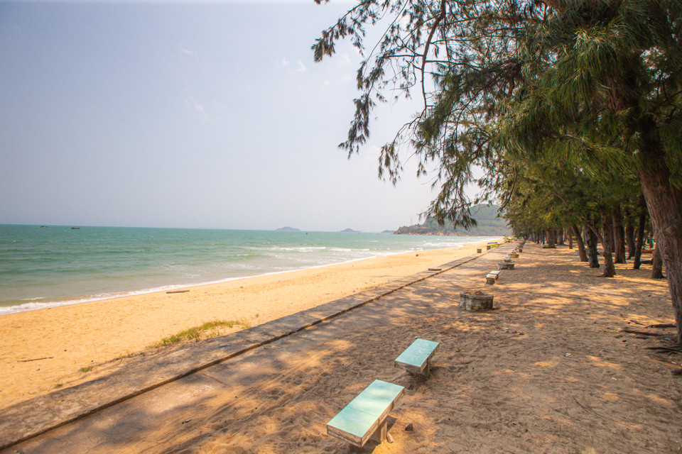 Khu du lịch Quy Hòa cách trung tâm Quy Nhơn khoảng 5 cây số với hàng phi lao già trải dài tít tắp khiến du khách quyến luyến không muốn về. (Ảnh: Minh Sơn/Vietnam+)