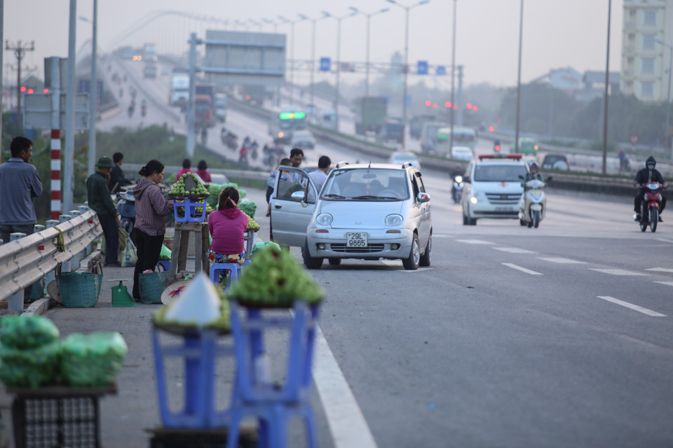 Hàng hóa được bày bán trên các sạp hàng chủ yếu là ổi từ những vườn hai bên lên mặt đường. Hàng rào chắn được dùng làm chỗ để giấu hàng hóa mỗi khi có công an trật tự đi kiểm tra, còn phần đường giành cho xe máy được ‘tận dụng’ làm chỗ bán. (Ảnh: Minh Sơn/Vietnam+)