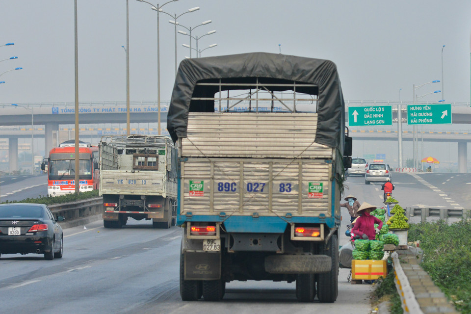 Xe tải dừng giữa đường để mua ổi. (Ảnh: Minh Sơn/Vietnam+)