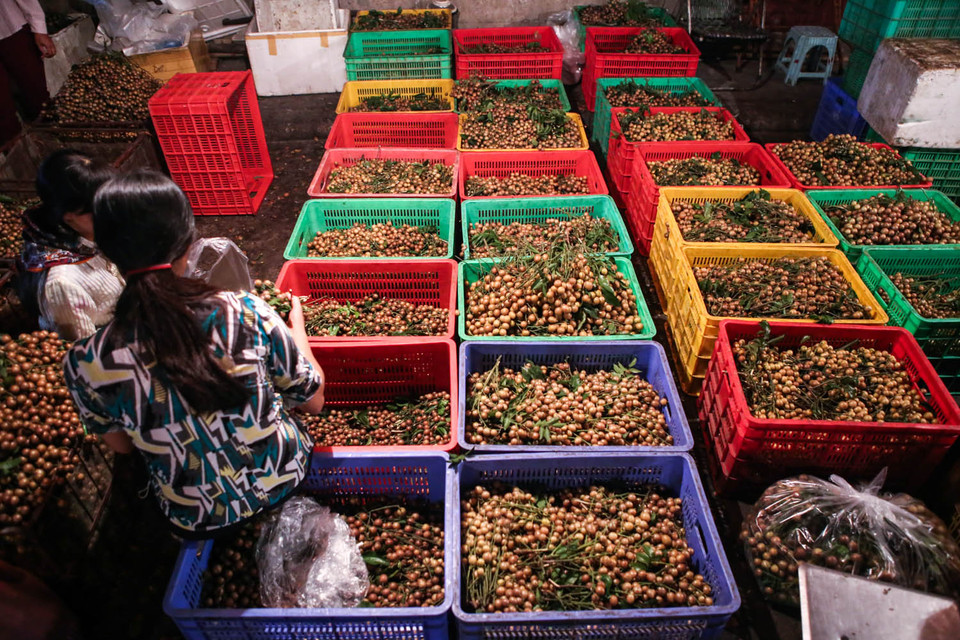 Thế nhưng dường như rất nhiều lao động, đặc biệt là lực lượng bốc vác tại đây không biết được rằng, chỉ một vài năm nữa, họ sẽ không còn việc làm mỗi đêm. (Ảnh: Minh Sơn/Vietnam+)