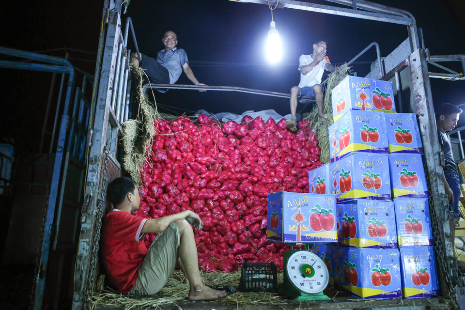 Tháng 11/2014, chợ Long Biên được tạp chí du lịch nổi tiếng của Mỹ - Conde Nast Traveller bình chọn là một trong bảy khu chợ trời thú vị nhất thế giới. (Ảnh: Minh Sơn/Vietnam+)