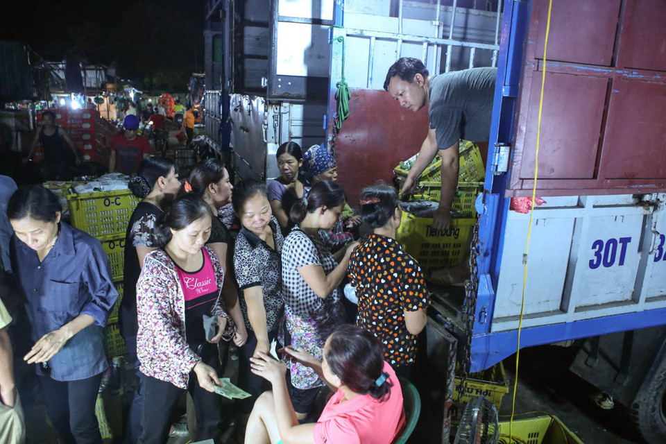 Mỗi đêm có hàng trăm xe tải chở rau củ quả từ khắp nơi đến chợ tập kết, luôn có hàng trăm tiểu thương chầu chực chờ xe đến để lấy được những lô quả có chất lượng tốt nhất. (Ảnh: Minh Sơn/Vietnam+)