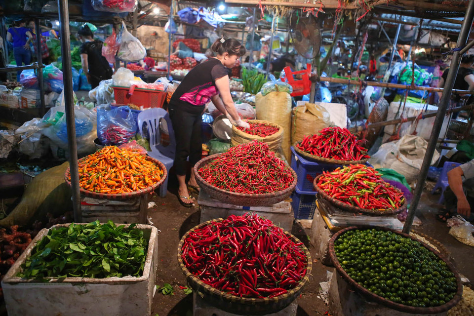 Những quầy hàng đầy màu sắc rực rỡ, bắt mắt thu hút rất nhiều du khách muốn khám phá hết vẻ đẹp của Thủ đô. (Ảnh: Minh Sơn/Vietnam+)