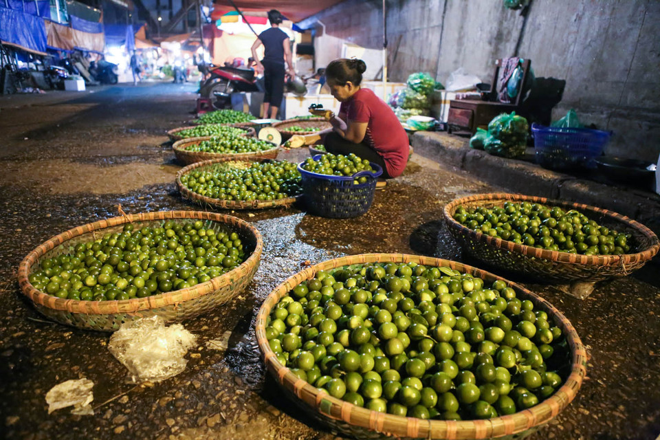 Hàng trăm tiểu thương sẽ được chuyển sang các chợ đầu mối khác. (Ảnh: Minh Sơn/Vietnam+)
