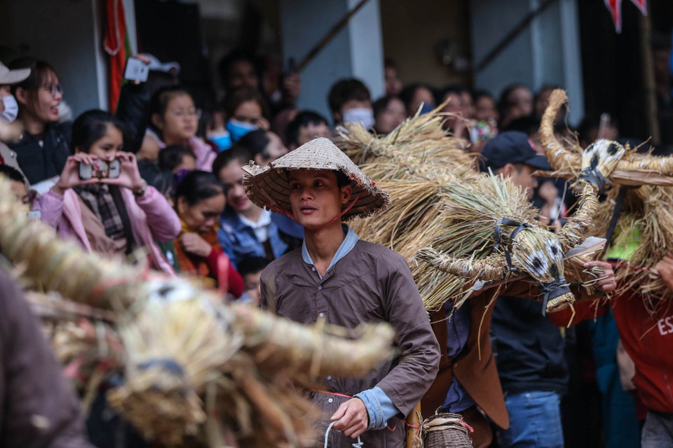 Trò trình diễn trâu bò rơm rạ được người dân nơi đây gìn giữ hàng trăm năm qua. (Ảnh: PV/Vietnam+)