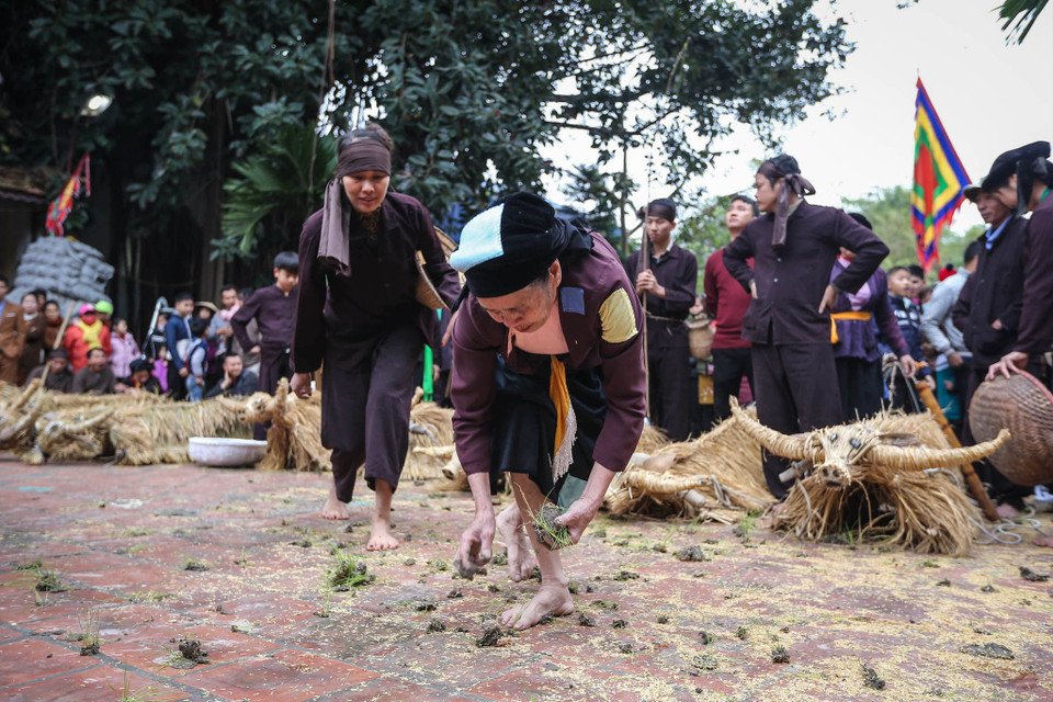 Những người phụ nữ trình diễn lại phong tục gieo mạ, cấy lúa nhân dịp đầu năm mới. (Ảnh: PV/Vietnam+)