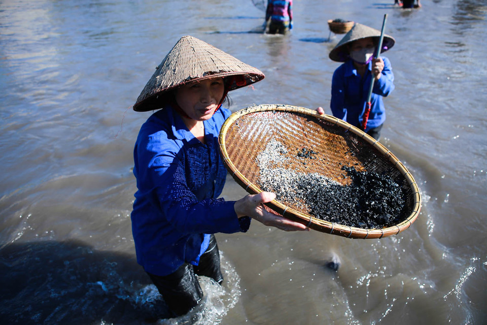 Những cục than to đã bị ‘mót’ gần hết, bây giờ lòng sông chỉ còn những loại than vụn, than cám lẫn với cát sỏi. (Ảnh: Minh Sơn/Vietnam+)