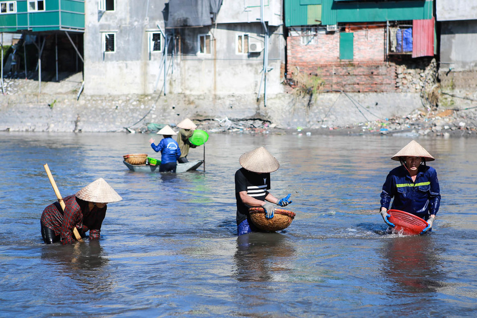 Theo người dân nơi đây, khi cơn lũ vừa qua, biết dòng sông Mông Dương có than cục trôi, nên nhiều người dân trầm mình hàng giờ dưới nước, bất chấp nguy hiểm để kiếm thêm chút thu nhập. (Ảnh: Minh Sơn/Vietnam+)