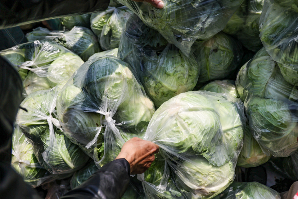 Tuy nhiên, lo ngại trước diễn biến dịch COVID-19, thời gian qua một số địa phương đã không cho xe hàng của Hải Dương đi qua. Nhiều doanh nghiệp đã không về vùng nguyên liệu để thu mua nông sản cho nông dân Hải Dương, thậm chí cả những doanh nghiệp đã bao tiêu từ đầu vụ khiến cho hàng ngàn tấn nông sản có nguy cơ bị hư hỏng. (Ảnh: Minh Sơn/Vietnam+)