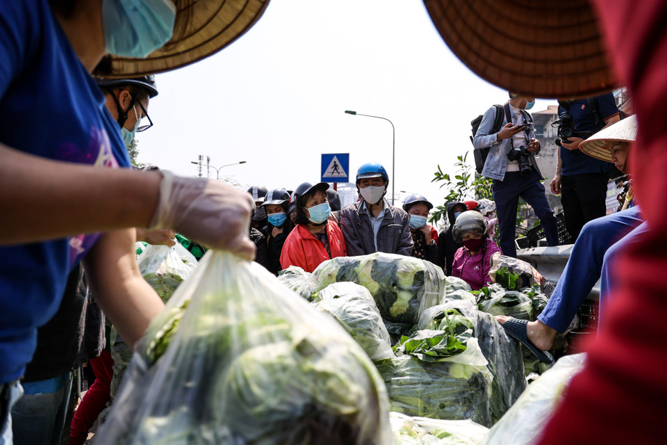 Chỉ trong khoảng 30 phút, hàng trăm cân bắp cải, su hào đã được bán hết. (Ảnh: Minh Sơn/Vietnam+)