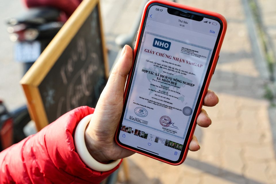 Chị Thuỷ cũng cho biết toàn bộ nông sản đều có nguồn gốc xuất xứ rõ ràng. Rau đã được kiểm dịch và đưa về Hà Nội. (Ảnh: Minh Sơn/Vietnam+)