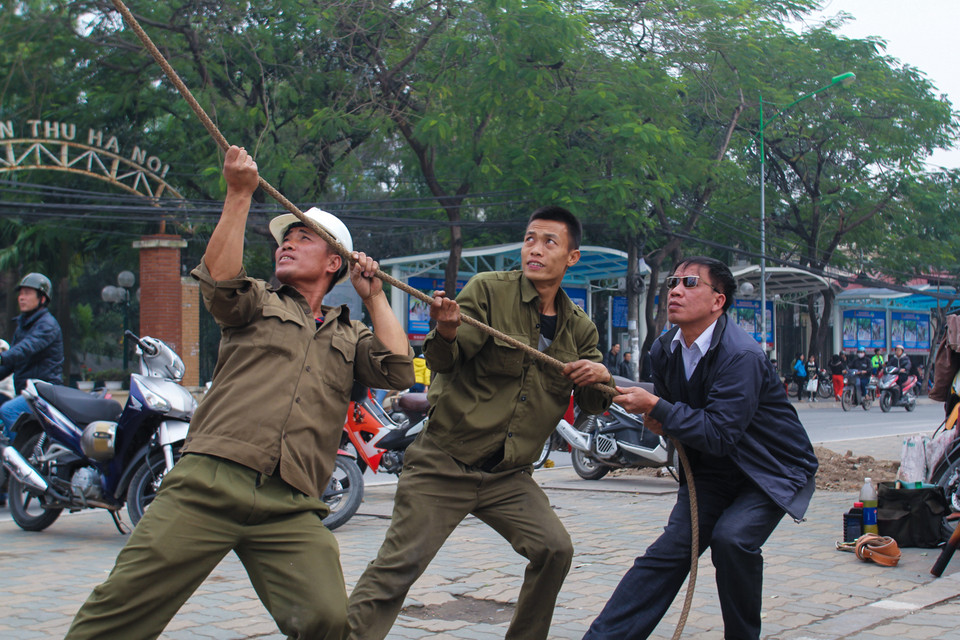 Những cán bộ giám sát, quản lý cũng giúp các công nhân thực hiện việc kéo cành cây to xuống. (Ảnh: Minh Sơn-Hoàng Long/Vietnam+)