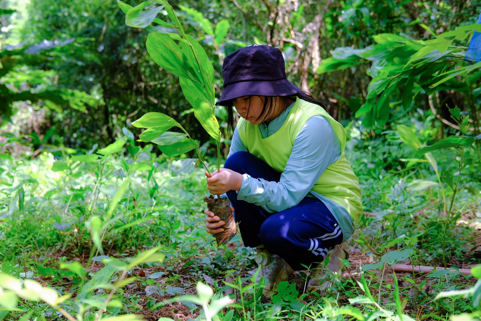 Các bạn nhỏ sẽ được trải nghiệm kỹ năng đi rừng, xác định phương hướng, cách tìm nguồn nước, nguồn thức ăn hay cách vượt qua những loại địa hình phức tạp. Cuối cùng, các bạn sẽ cùng nhau trồng cây để giúp chính mình hiểu, việc có rừng quan trọng với môi trường như thế nào. (Ảnh: Minh Sơn/Vietnam+)