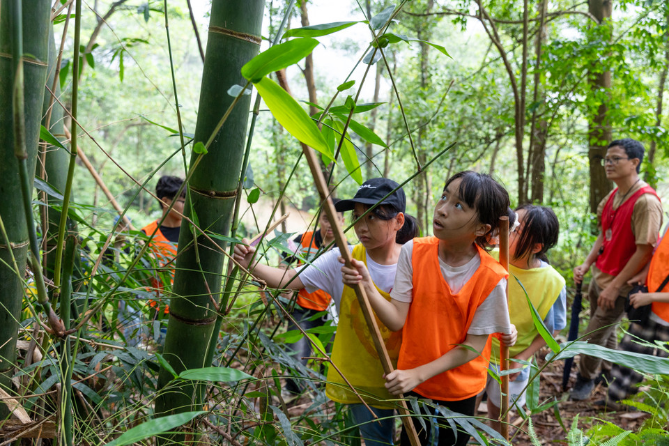 Những hoạt động này sẽ giúp bạn phát triển sự hiểu biết sâu sắc hơn về thiên nhiên, trau dồi kỹ năng và áp dụng chúng vào cuộc sống hàng ngày. (Ảnh: Minh Sơn/Vietnam+)