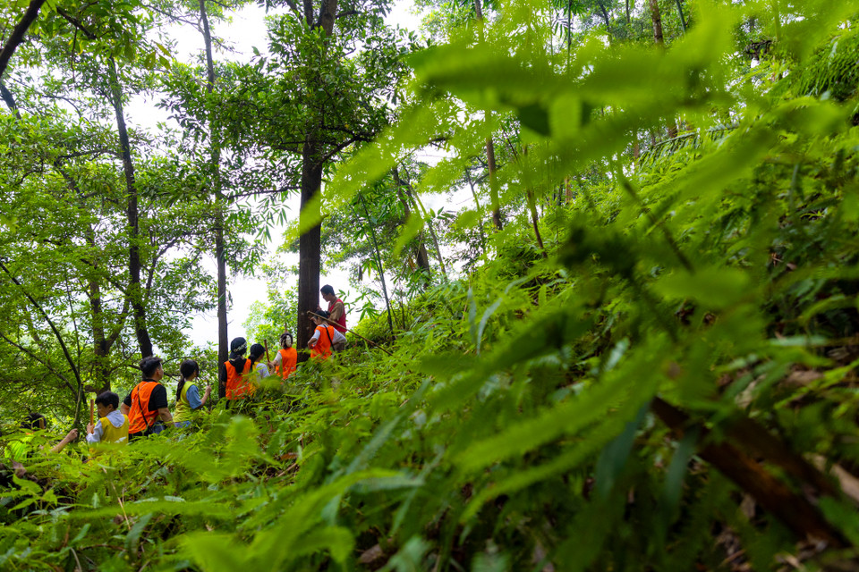 Trong 6 ngày, các bạn nhỏ sẽ được học tập và rèn luyện những kỹ năng sống vô cùng thiết thực. Các bạn sẽ phải đối mặt với những thử thách thực sự trong tự nhiên như tìm kiếm củi và nhóm lửa, học kỹ năng sơ cứu, thoát hiểm, học các bài tập nhóm để tăng tính đoàn kết. (Ảnh: Minh Sơn/Vietnam+)