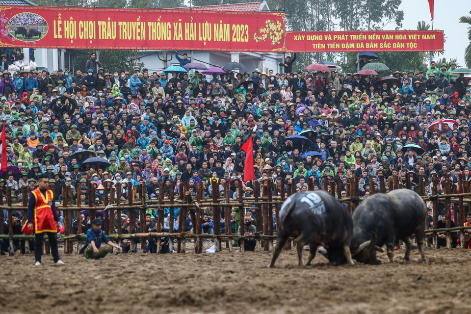 20 'ông Cầu' được chia làm các cặp đấu vòng loại. 'Ông Cầu' nào thắng thì được vào tiếp vòng trong thi đấu cho đến trận chung kết. Các 'ông Cầu' tham gia lễ hội năm nay có đội tuổi từ 11 - 12 tuổi. (Ảnh: Minh Sơn/Vietnam+)