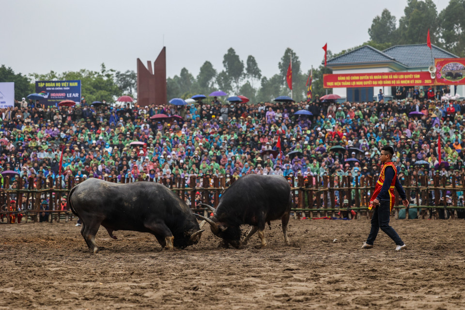 Tính đến năm 2023, lễ hội được khôi phục 21 năm, trở thành một lễ hội nổi tiếng, ngày càng được nhiều người biết đến. (Ảnh: Minh Sơn/Vietnam+)