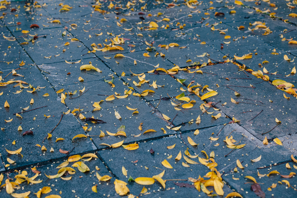 (Ảnh: Minh Sơn/Vietnam+)