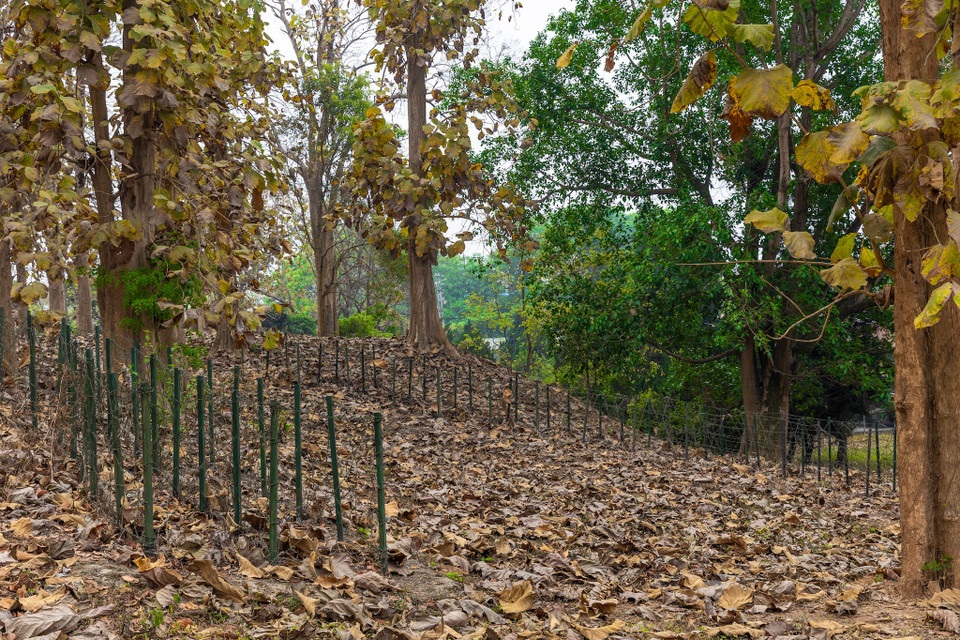 Di tích lịch sử đồi A1 là một trong những cứ điểm chiến lược của quân Pháp trong chiến dịch Điện Biên Phủ có hình dạng giống chữ A nằm dài theo hướng Tây Bắc - Đông Nam. Đồi A1 gồm hai đỉnh: Tây Bắc cao 490 m và Đông Nam cao 493 m. (Ảnh: Minh Sơn/Vietnam+)