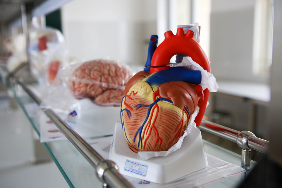 Các trang thiết bị cho 2 khoa Y và Dược vẫn còn bọc nilon trước khi đưa vào sử dụng. (Ảnh: Minh Sơn/Vietnam+)