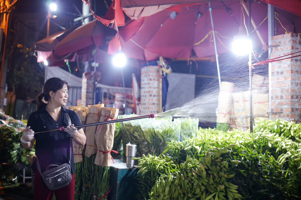 Cô Điểu, một tiểu thương tại chợ cho biết: “Lượng hoa mỗi ngày tôi nhập về và bán ra khoảng 100 bó, mỗi bó 100 bông. Tuy kèn tây bông to và đẹp nhưng số lượng kèn ta bán vẫn chạy hơn nhiều.” (Ảnh: Diễm Hằng/Vietnam+)