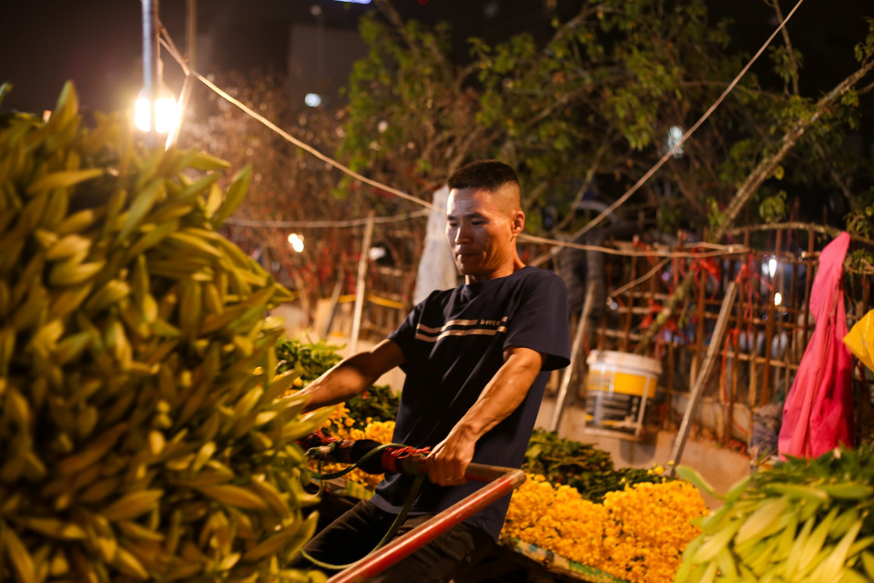 Không như các loài hoa khác, hoa loa kèn đặc mỗi năm chỉ có đúng một vụ mùa duy nhất. Nên đây cũng là lý do mà hoa kèn được bán chạy nhất chợ trong thời điểm này. (Ảnh: Diễm Hằng/Vietnam+)