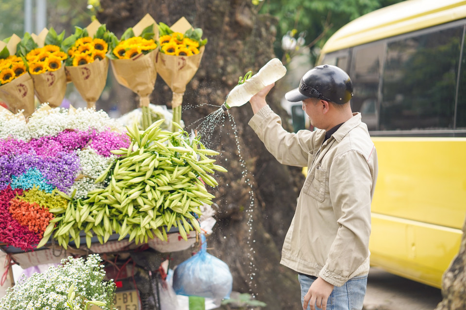 Trên chiếc xe máy chất lên mình đầy ắp những loại hoa nhưng chẳng khó để nhận ra những đóa loa kèn tinh khôi. Giá bán lẻ hoa trên phố Thuỵ Khuê và Phan Đình Phùng hiện nay giao động từ 40-50 ngàn/bó 10 bông. (Ảnh: Diễm Hằng/Vietnam+)