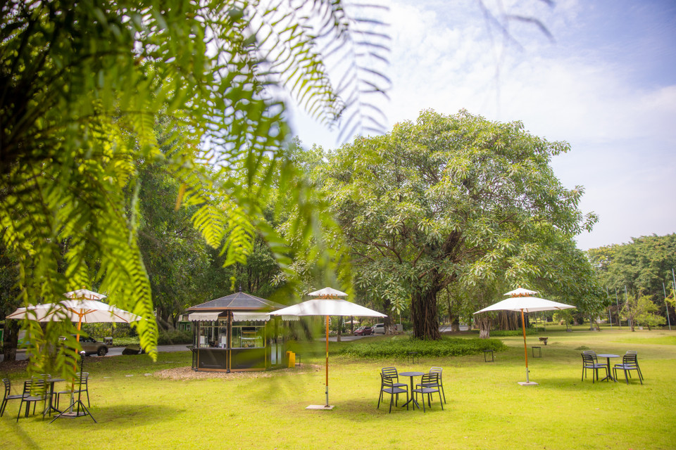 Khi bạn ngồi xuống bàn thưởng thức ly càphê, bạn có thể hít thở không khí trong lành và hòa mình với thiên nhiên. Thời gian trôi chậm lại để bạn cảm thận cuộc sống thực sự với cảm giác an nhiên, dễ chịu. (Ảnh: Minh Sơn/Vietnam+)