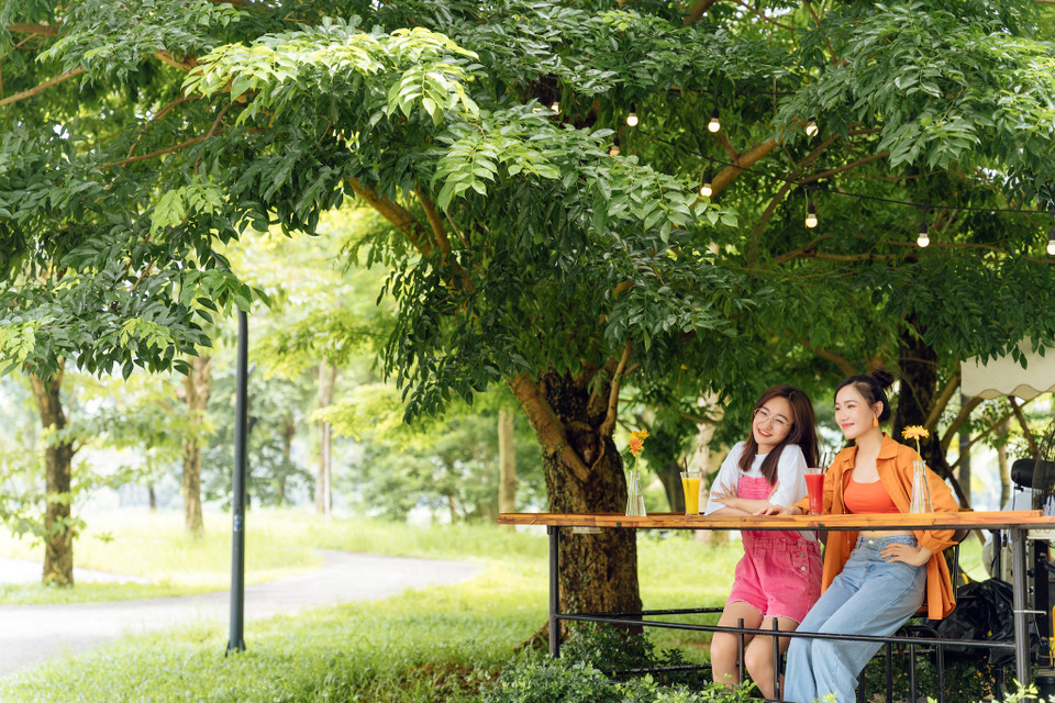 Tuy quán nhỏ nhưng không gian lại rộng rãi, du khách có thể tự mình chọn một chỗ riêng tư, thoáng mát để vừa nhâm nhi ly càphê vừa thả hồn vào mặt hồ mênh mông, ngắm những chú thiên nga bơi trên mặt nước. (Ảnh: Minh Sơn/Vietnam+)