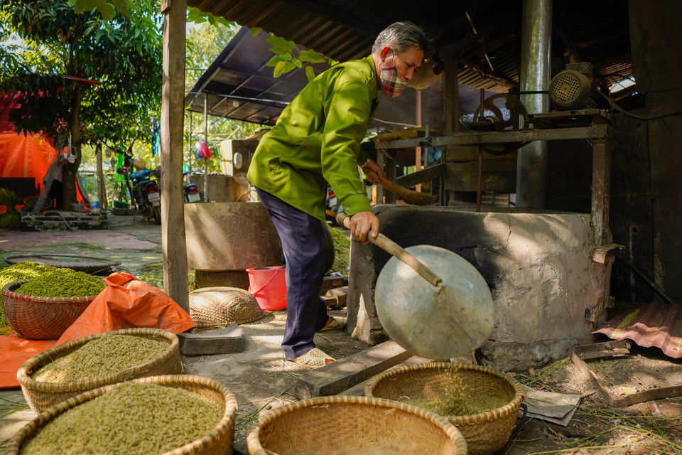 Cốm được làm từ nhiều loại lúa khác nhau, nhưng người làng Mễ Trì chỉ chọn loại nếp cái hoa vàng. (Ảnh: PV/Vietnam+)