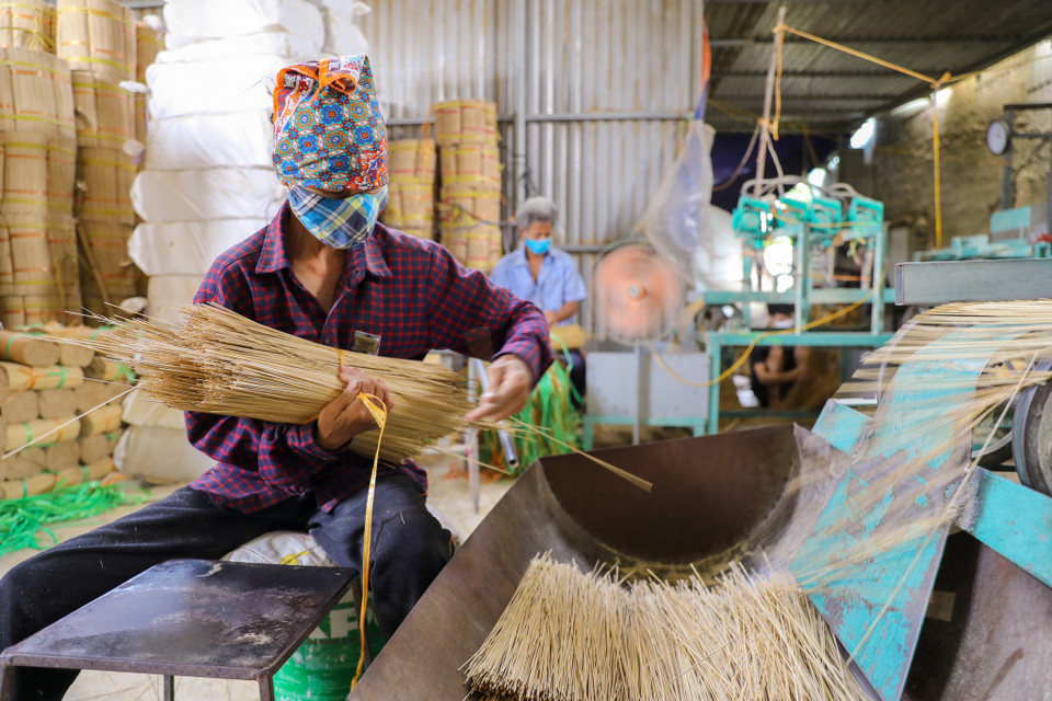 Ngày nay, rất nhiều hộ đã đầu tư máy móc làm vầu thay vì tỉa tót bằng tay. Năng suất vì thế cũng tăng lên rất nhiều để đáp ứng các đơn hàng trong và ngoài nước. (Ảnh: PV/Vietnam+)