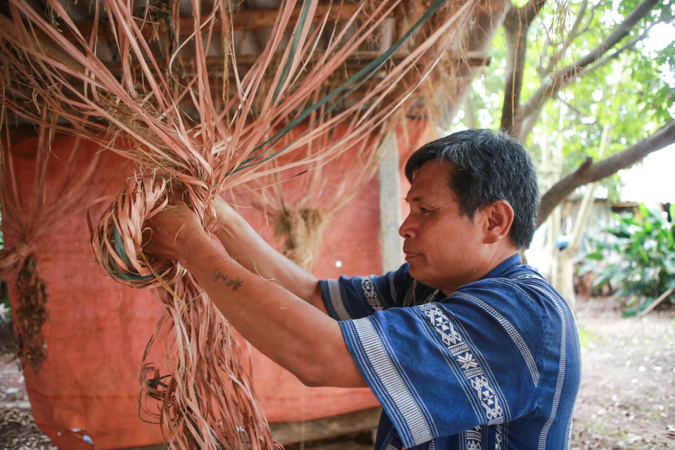 Ông Sơn còn dọn một kho riêng để trồng nấm rơm. Ông chia sẻ​: 'Làm cho vui nếu không những lúc rảnh rỗi buồn không chịu được.' Khi nào thu hoạch được nấm ông còn nấu thết đãi những đứa học trò nghịch ngợm của mình. (Ảnh: Minh Sơn/Vietnam+)