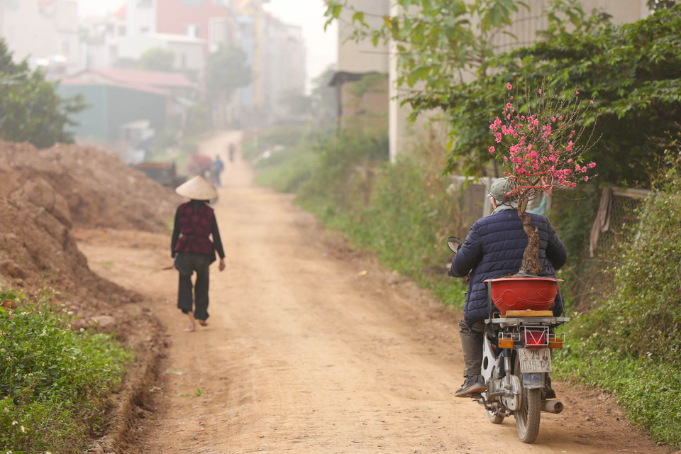 (Ảnh: Minh Sơn/Vietnam+)