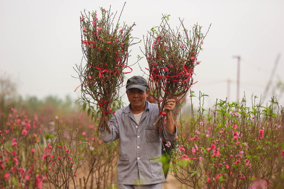 (Ảnh: Minh Sơn/Vietnam+)