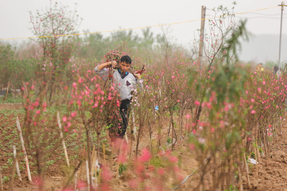 (Ảnh: Minh Sơn/Vietnam+)